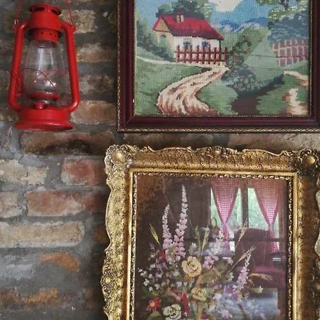 Salas Vujic Bečej