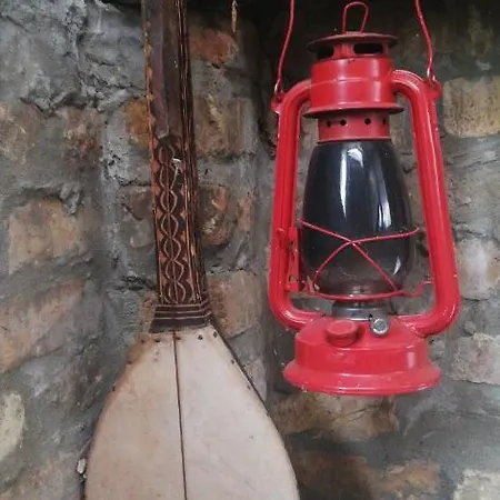 Salas Vujic * Bečej