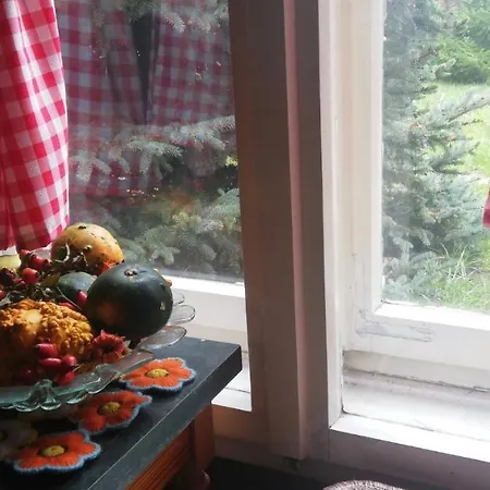 Salas Vujic * Bečej