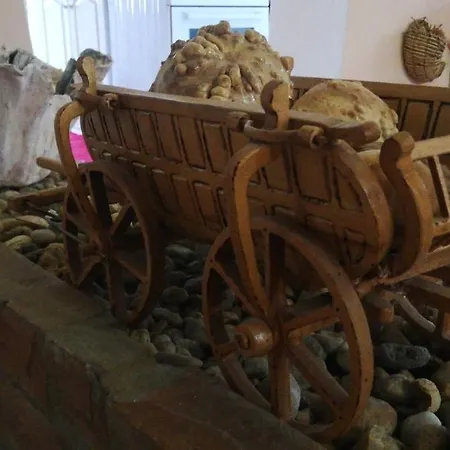 Apartmán Salas Vujic