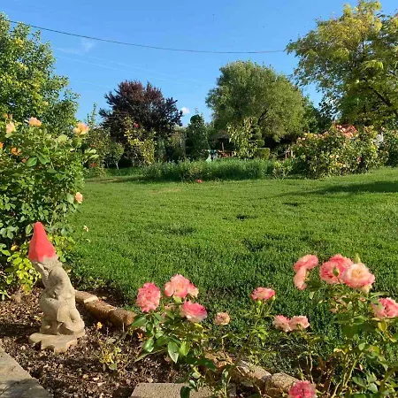 Апартаменты Salas Vujic