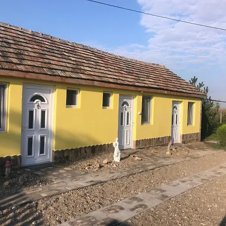 Salas Vujic Апартаменты Becej