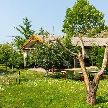 Apartment Salas Vujic Bečej