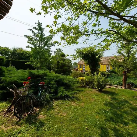 Salas Vujic Apartment Bečej