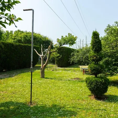 Apartment Salas Vujic *