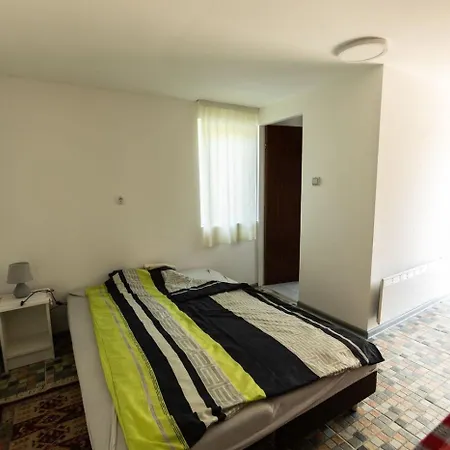 Salas Vujic Bečej