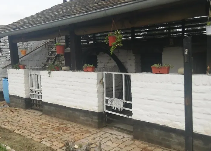 Salas Vujic Daire Bečej