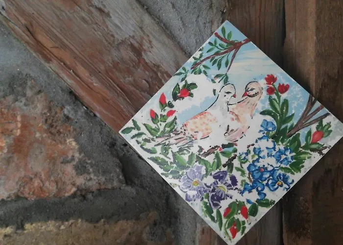 Salas Vujic Daire Bečej