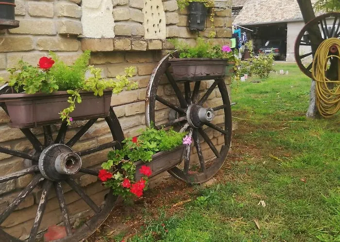 Salas Vujic * Bečej