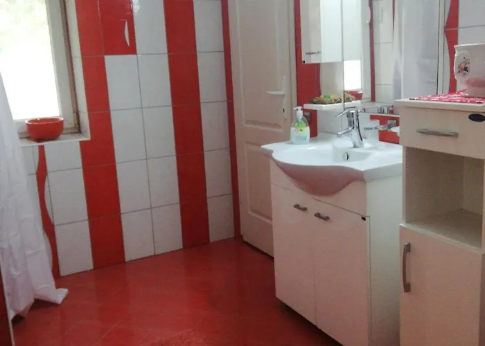 Daire Salas Vujic Bečej