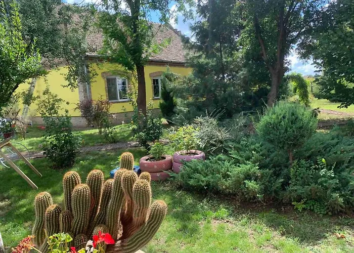 Salas Vujic * Bečej