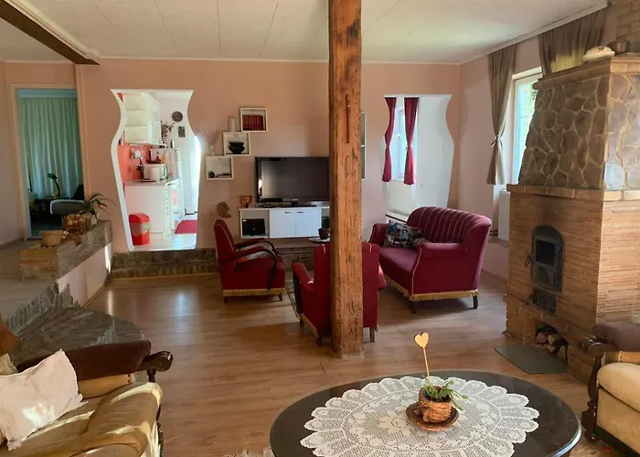 Salas Vujic Daire Bečej