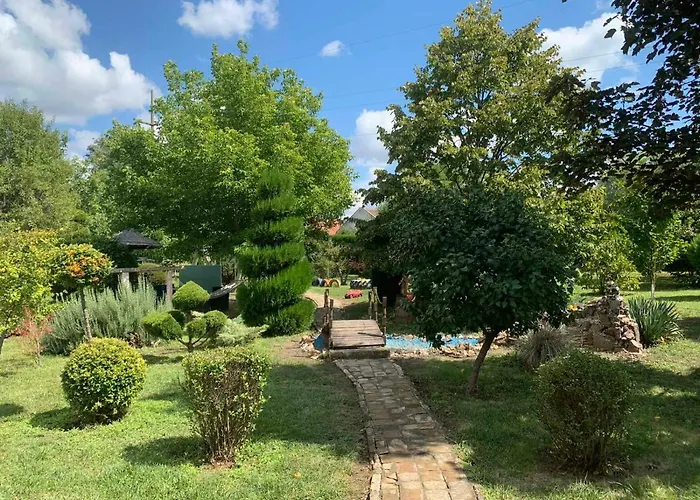 Salas Vujic * Bečej