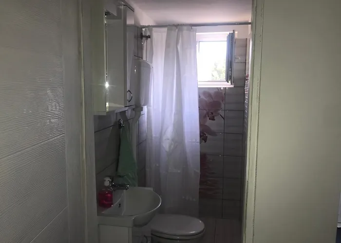 Salas Vujic Daire Bečej